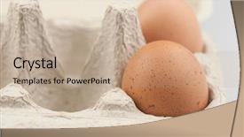  Presentation with eggs egg carton egg box - Colorful slide set enhanced with brown eggs in egg box backdrop and a coral colored foreground
