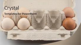  Presentation with eggs egg carton egg box - Audience pleasing PPT theme consisting of brown eggs in egg box backdrop and a soft green colored foreground