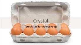  Presentation with cardboard - Slide set consisting of brown-eggs-in-the-cardboard background and a lemonade colored foreground