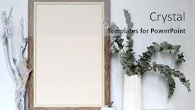  Presentation with eucalyptus leaves - PPT theme enhanced with brown-empty-frame-with-white background and a light gray colored foreground