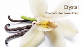  Presentation with vanilla - Audience pleasing presentation theme consisting of brown floral - dried vanilla sticks and orchid backdrop and a cream colored foreground