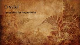  Presentation with fern - Theme having brown floral - grunge fern background background and a  colored foreground