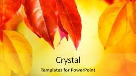  Presentation with fall leaves - Beautiful slide deck featuring brown gold - fall autumn leaves backdrop and a yellow colored foreground