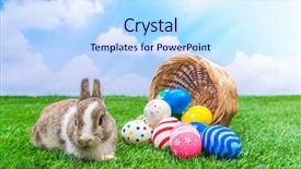 Presentation with blue green - Presentation theme consisting of brown hare - rabbit and easter eggs background and a sky blue colored foreground
