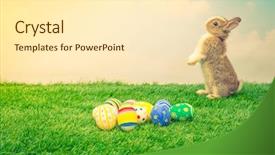  Presentation with rabbit - Slide deck having brown hare - rabbit and easter eggs background and a cream colored foreground