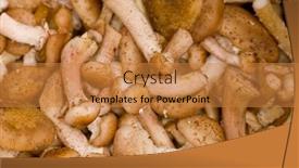  Presentation with fungus - 
