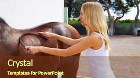  Presentation with white horse - PPT theme having brown horse with sweat scraper background and a tawny brown colored foreground