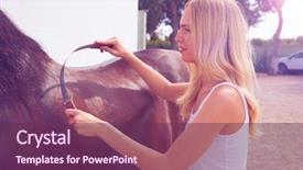  Presentation with white horse - Amazing presentation design having brown horse with sweat scraper backdrop and a  colored foreground