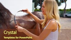  Presentation with white horse - Cool new presentation theme with brown horse with sweat scraper backdrop and a tawny brown colored foreground