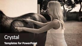  Presentation with white horse - Audience pleasing theme consisting of brown horse with sweat scraper backdrop and a dark gray colored foreground