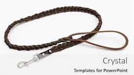  Presentation with leash - Beautiful presentation theme featuring brown-leather-leash backdrop and a white colored foreground