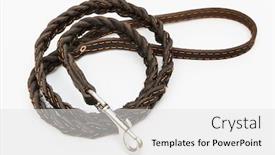  Presentation with leash - Audience pleasing presentation consisting of brown-leather-leash backdrop and a white colored foreground
