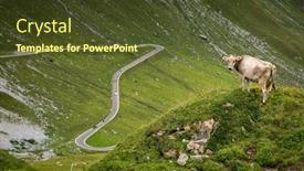  Presentation with give me that mountain - Presentation theme featuring brown-mountain-cows-grazing background and a tawny brown colored foreground