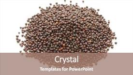 Presentation with seeds - PPT theme with brown mustard seeds indian spice background and a coral colored foreground