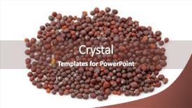  Presentation with seeds - Presentation with brown mustard seeds isolated background and a tawny brown colored foreground