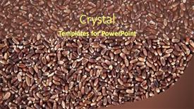  Presentation with rice grain - Presentation theme having brown-rice-close-up-texture background and a tawny brown colored foreground