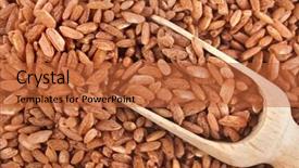  Presentation with brown rice - PPT theme with brown rice heap in wooden scoop bowl surface close up macro background and a red colored foreground