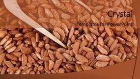  Presentation with brown rice - Beautiful presentation featuring brown rice heap in wooden scoop bowl surface close up macro backdrop and a red colored foreground