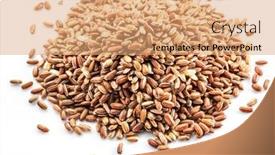  Presentation with rice husk - Presentation having brown-rice-heap-whole-grain background and a coral colored foreground