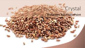  Presentation with rice husk - Slides featuring brown-rice-heap-whole-grain background and a coral colored foreground