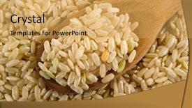  Presentation with brown rice - Cool new slides with brown rice over the spoon backdrop and a yellow colored foreground