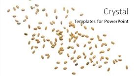  Presentation with brown rice - Amazing presentation theme having brown-rice-scattered-isolated-over backdrop and a white colored foreground