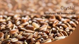  Presentation with rice husk - Audience pleasing slides consisting of brown-rice-whole-grain-rice backdrop and a coral colored foreground