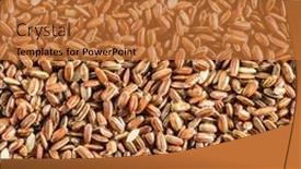  Presentation with rice husk - Audience pleasing slides consisting of brown-rice-whole-grain-rice backdrop and a red colored foreground