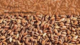  Presentation with rice husk - Presentation theme having brown-rice-whole-grain-rice background and a red colored foreground