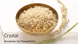  Presentation with brown rice - PPT theme with brown rice with ear background and a coral colored foreground