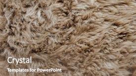  Presentation with brown - Beautiful presentation featuring brown sheepskin fur texture background backdrop and a violet colored foreground