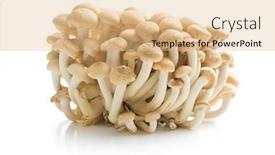  Presentation with white healthy food - Presentation theme with brown-shimmed-mushrooms-healthy-super background and a coral colored foreground