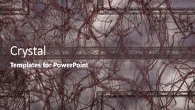  Presentation with brown - Cool new slides with brown-wall-with-baguette backdrop and a dark gray colored foreground