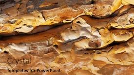  Presentation with brown wood texture - Amazing presentation design having brown-wood-texture-background-araucaria backdrop and a gold colored foreground