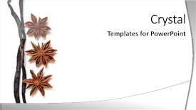  Presentation with vanilla - Theme with any - vanilla bean and star anise background and a white colored foreground
