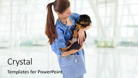  Presentation with rottweiler puppy - Beautiful theme featuring brunette veterinary with a rottweiler backdrop and a sky blue colored foreground