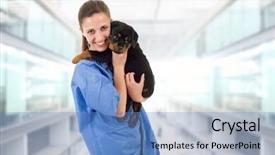  Presentation with rottweiler puppy - Beautiful PPT theme featuring brunette veterinary with a rottweiler backdrop and a teal colored foreground