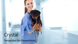  Presentation with rottweiler puppy - Audience pleasing presentation consisting of brunette veterinary with a rottweiler backdrop and a light blue colored foreground