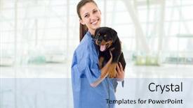  Presentation with rottweiler puppy - Presentation theme enhanced with brunette veterinary with a rottweiler background and a light blue colored foreground