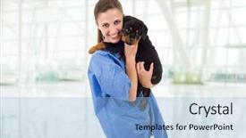  Presentation with rottweiler puppy - Audience pleasing PPT theme consisting of brunette veterinary with a rottweiler backdrop and a light blue colored foreground