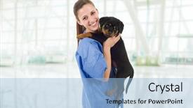  Presentation with rottweiler puppy - Audience pleasing PPT layouts consisting of brunette veterinary with a rottweiler backdrop and a light blue colored foreground