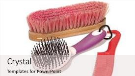  Presentation with horse - PPT layouts consisting of brush and a comb-hoof background and a light gray colored foreground
