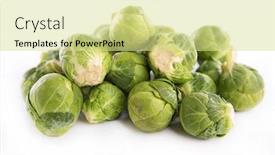  Presentation with brussel - Amazing PPT layouts having brussel sprout backdrop and a blonde colored foreground