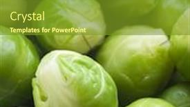  Presentation with brussel - Audience pleasing presentation consisting of brussel sprouts backdrop and a tawny brown colored foreground