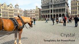  Presentation with over population - 