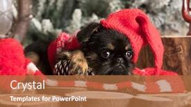  Presentation with dog christmas - Amazing PPT layouts having brussels-griffin-christmas-dog backdrop and a red colored foreground