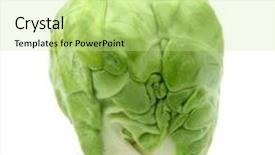  Presentation with brussels - PPT theme with brussels sprout small cabbage vegetable background and a soft green colored foreground