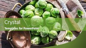  Presentation with brussels - PPT theme having brussels-sprouts-cabbage background and a seafoam green colored foreground