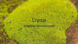  Presentation with sandstone - Presentation featuring bryophytes - bright green moss growing background and a gold colored foreground