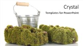  Presentation with moss - Slide deck featuring bryophytes - green moss and metal bucket background and a white colored foreground